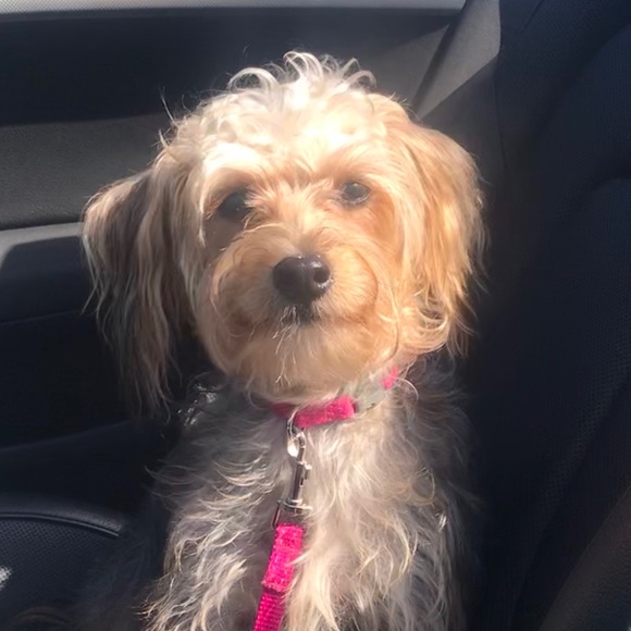 Meet your Posher, Andrea - Picture 1 of 1